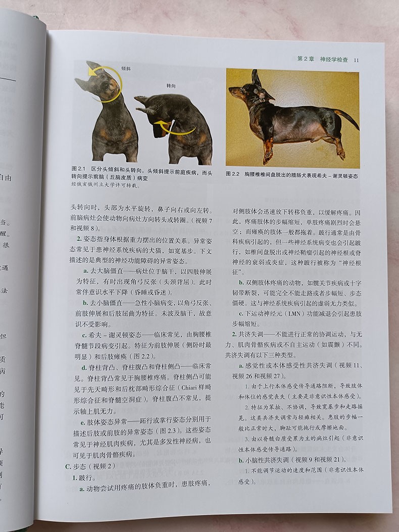 详情-13.jpg