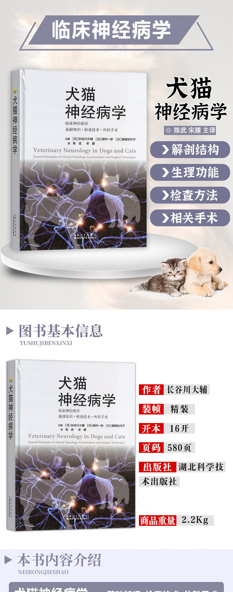 详情-01.jpg