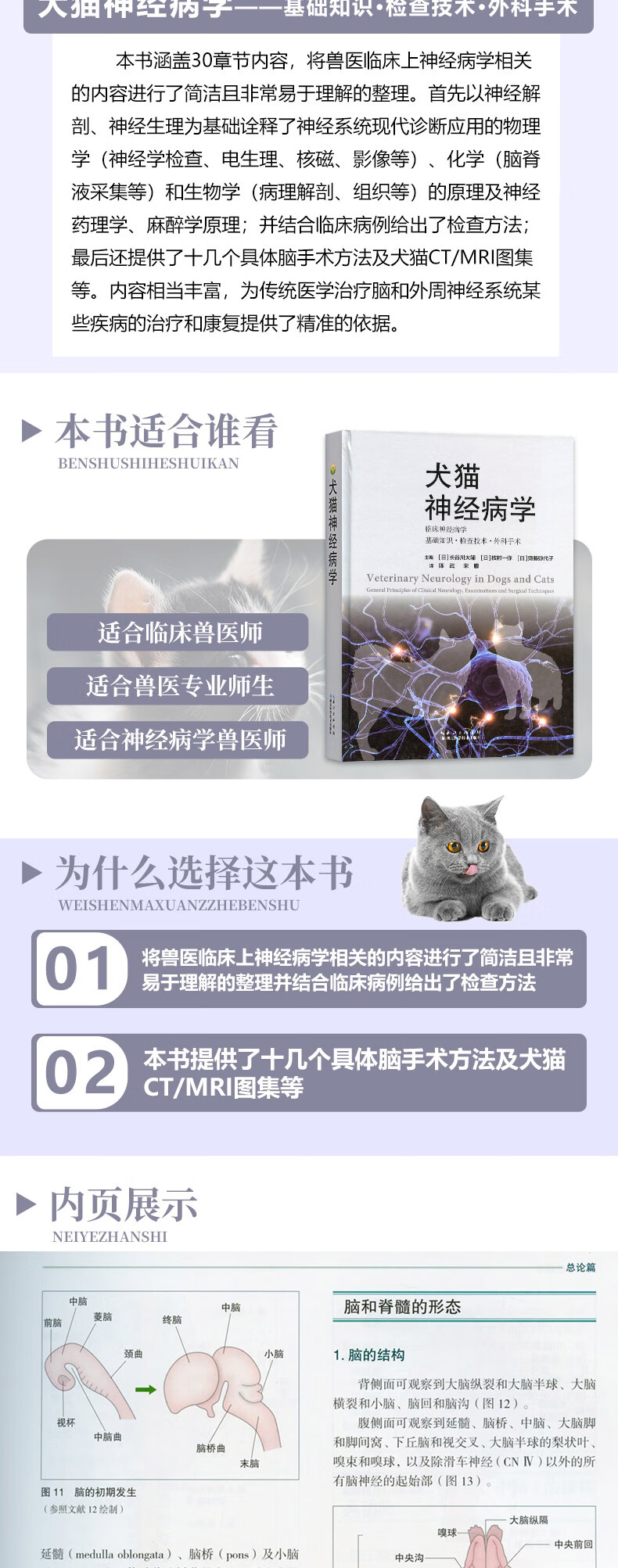 详情-02.jpg