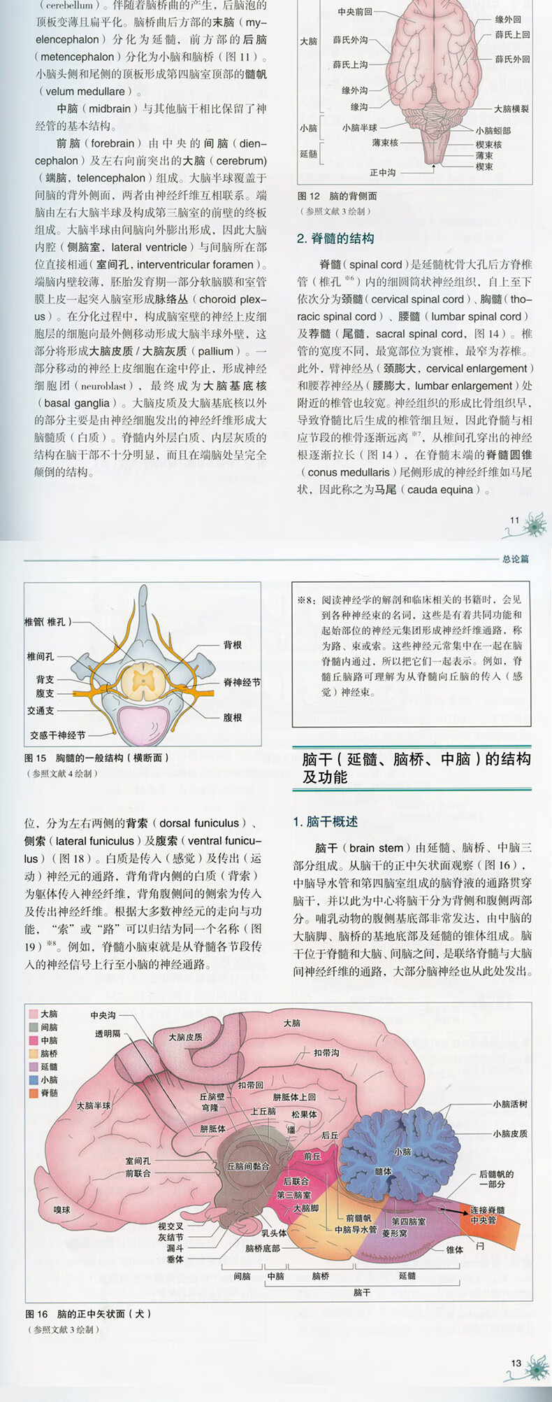 详情-03.jpg