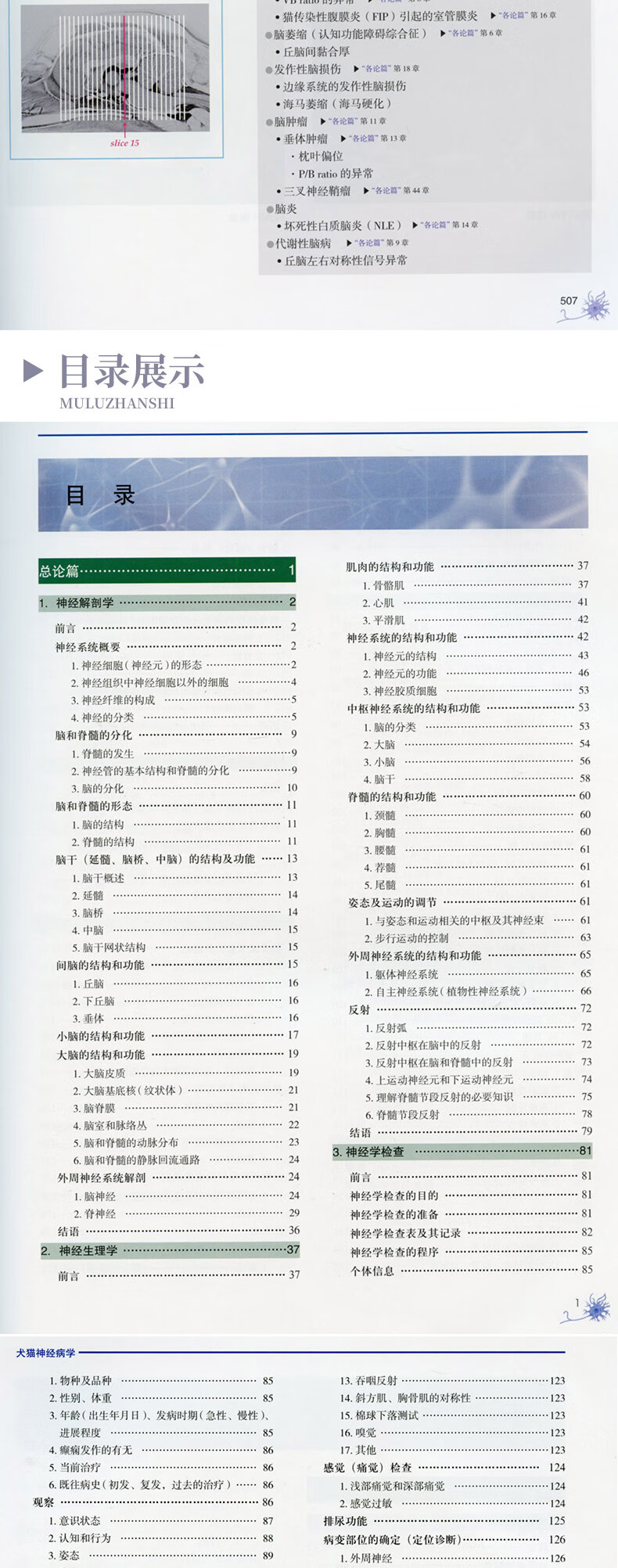 详情-05.jpg