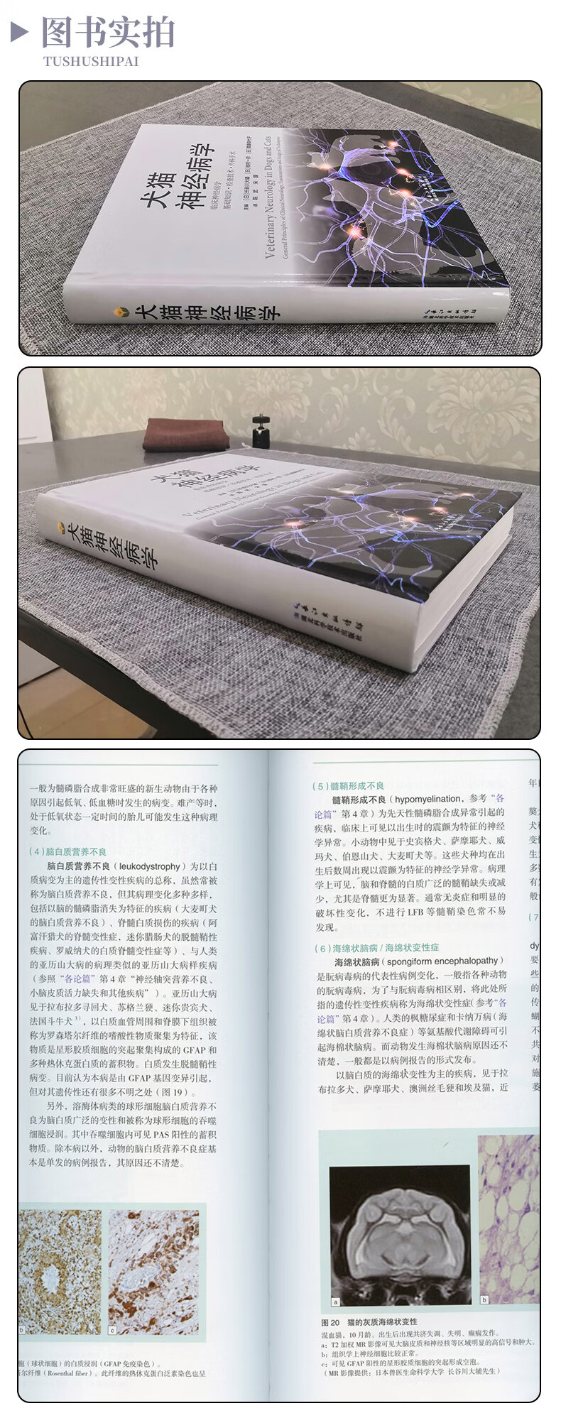 详情-10.jpg
