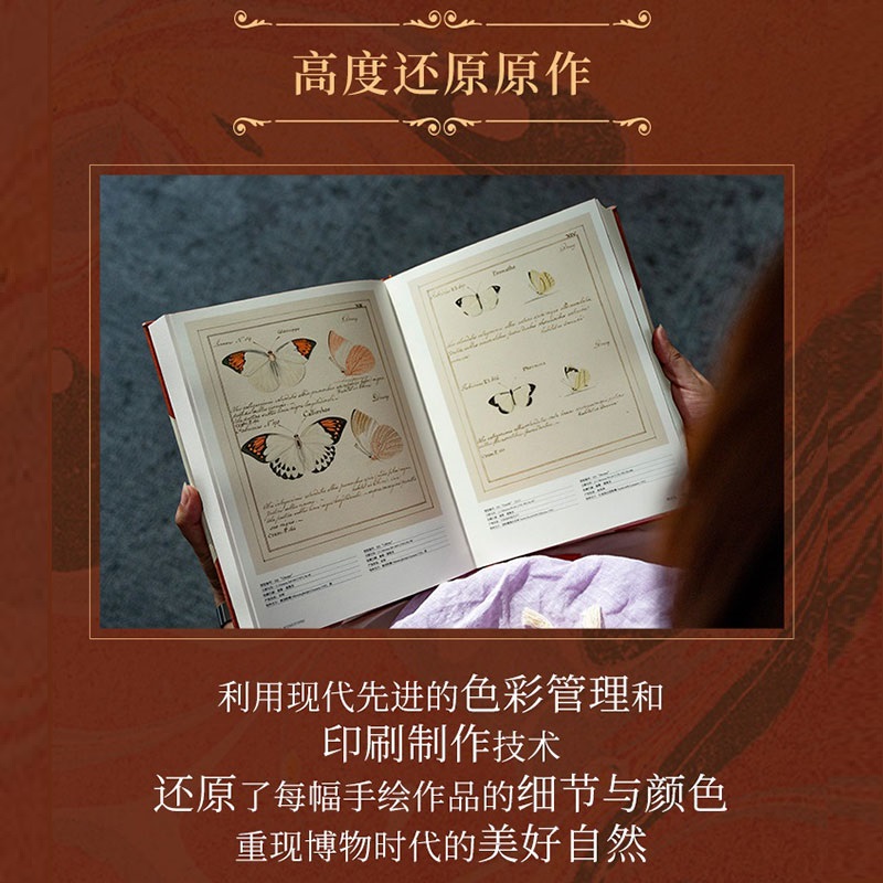 瓊斯圖譜：【蝴蝶聖經】（牛津大學典藏圖譜）