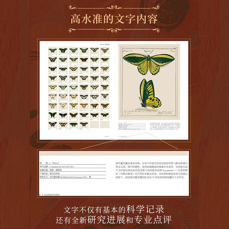 瓊斯圖譜：【蝴蝶聖經】（牛津大學典藏圖譜）