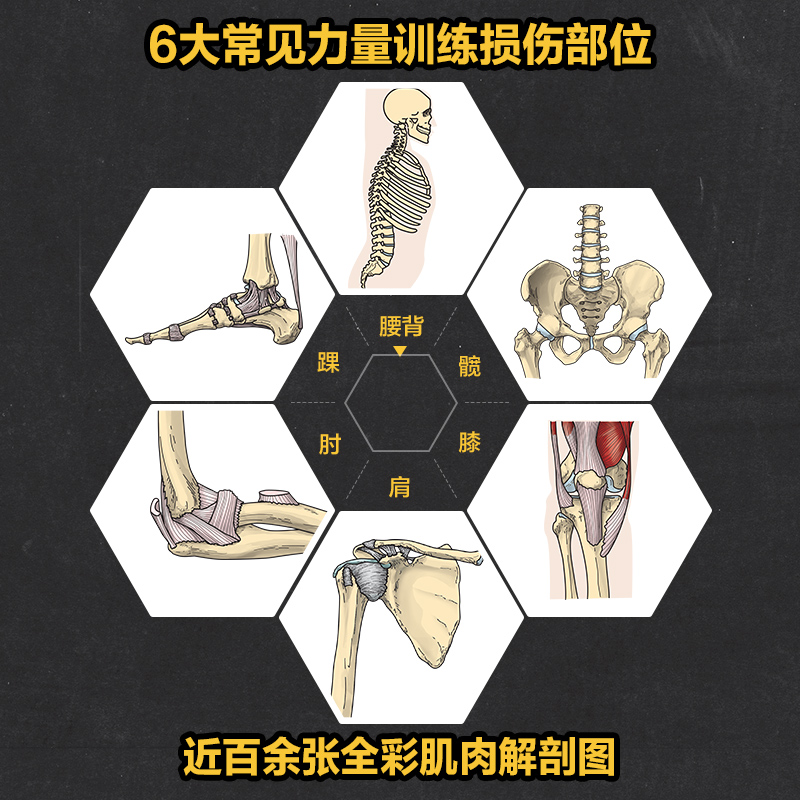 【重返巔峰】（力量訓練者傷後功能重建與能力發展）
