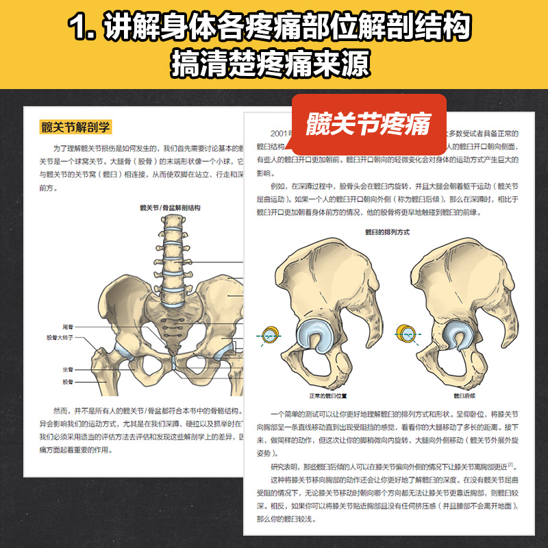【重返巔峰】（力量訓練者傷後功能重建與能力發展）