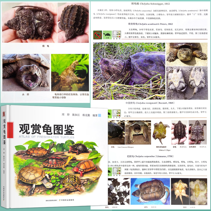 【觀賞龜圖鑒】（精裝質重1.9公斤）