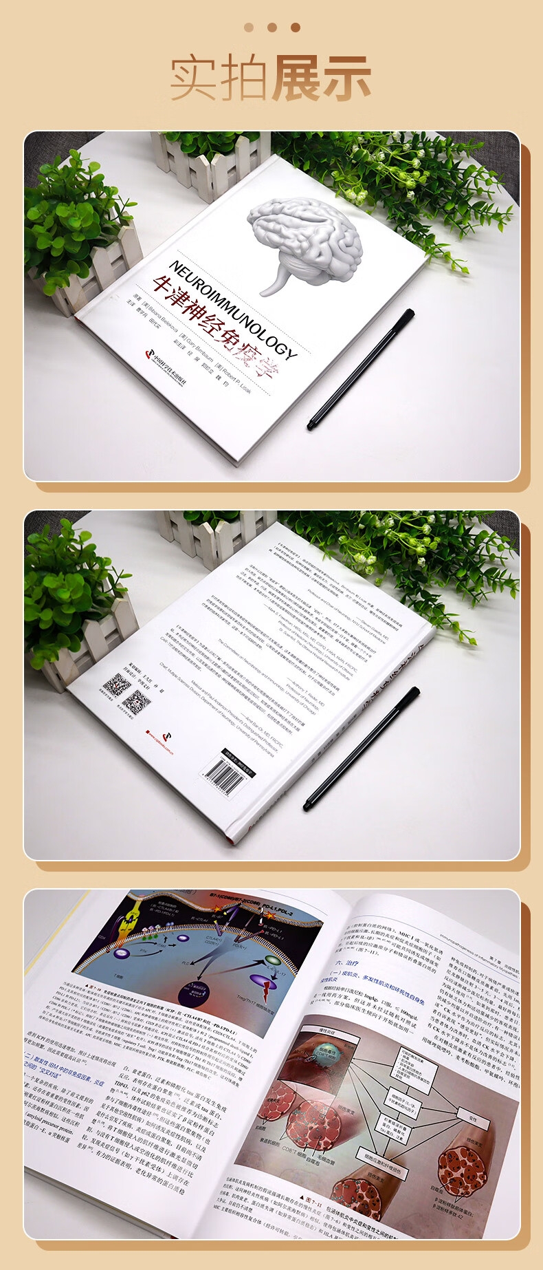 详情-02.jpg