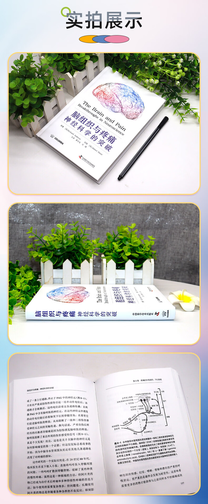 详情-02.jpg