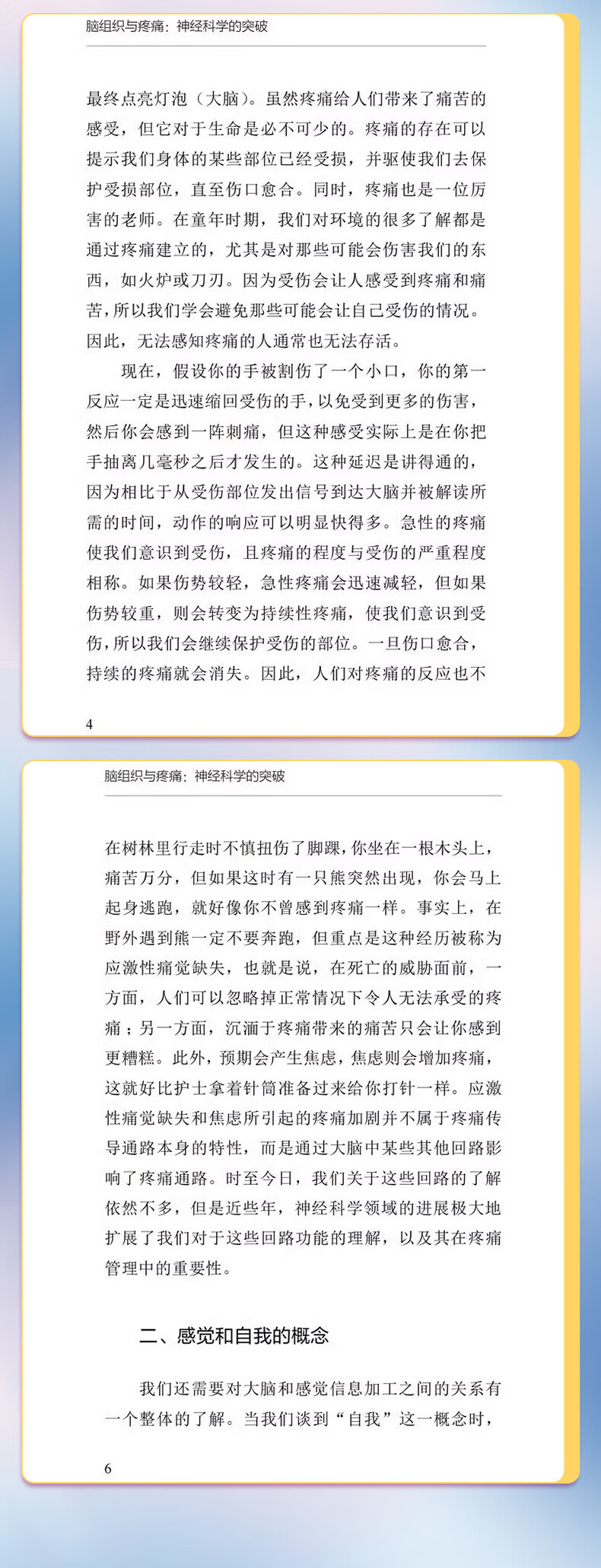 详情-04.jpg