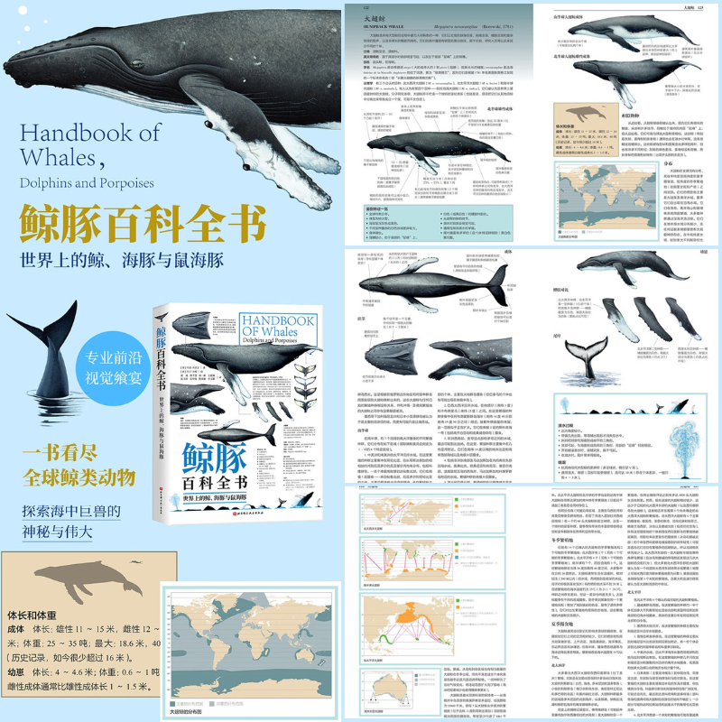 【鯨豚百科大全】（世界上的鯨、海豚與鼠海豚）