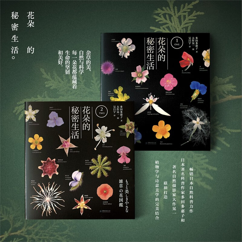 【花朵的秘密生活】（日）多田多惠子著