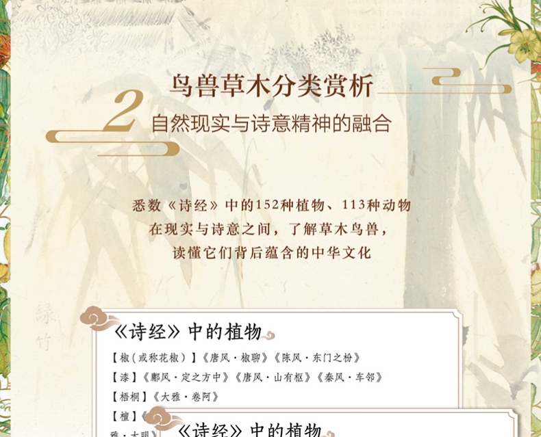 详情_002.jpg
