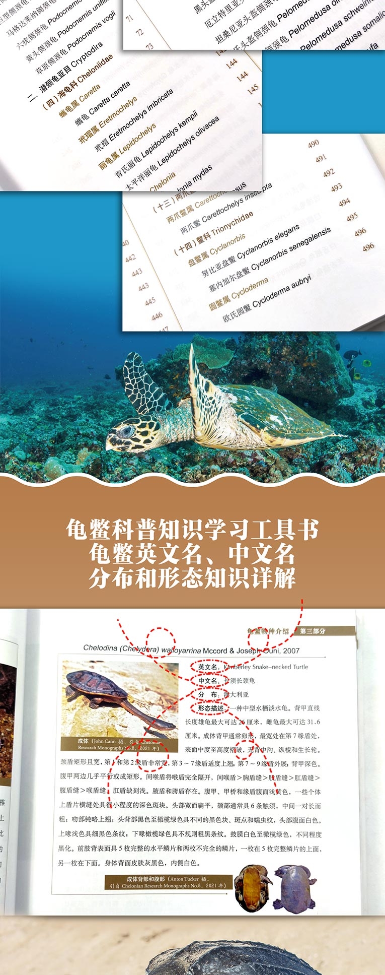 67af7d9f-ed44-4b40-8b96-b8242e54aa3f.jpg