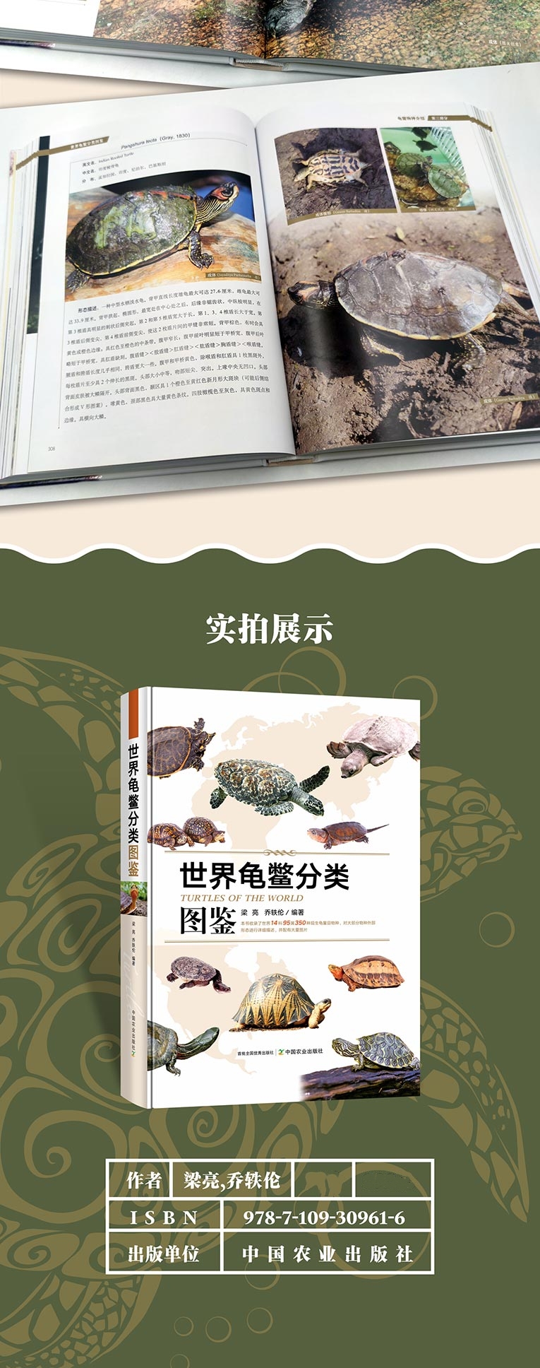 4b87a84c-fe55-428a-8313-f072a5e020c5.jpg