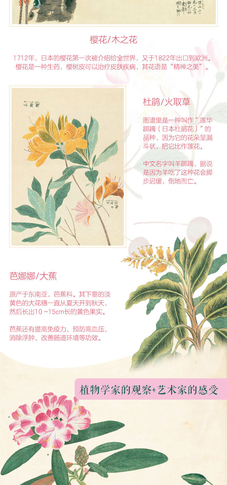 详情_002.jpg