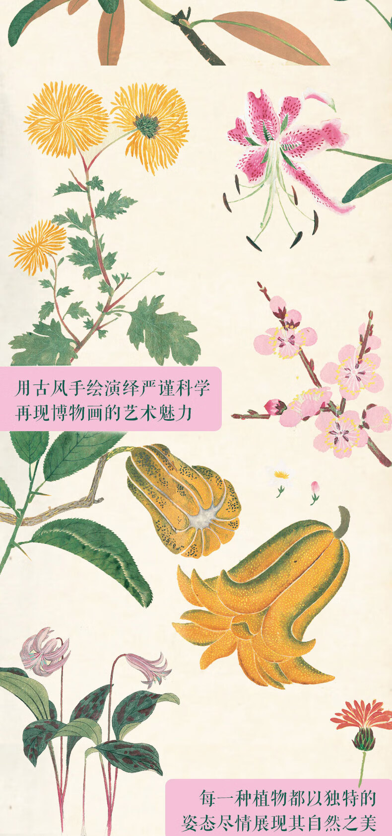 详情_003.jpg