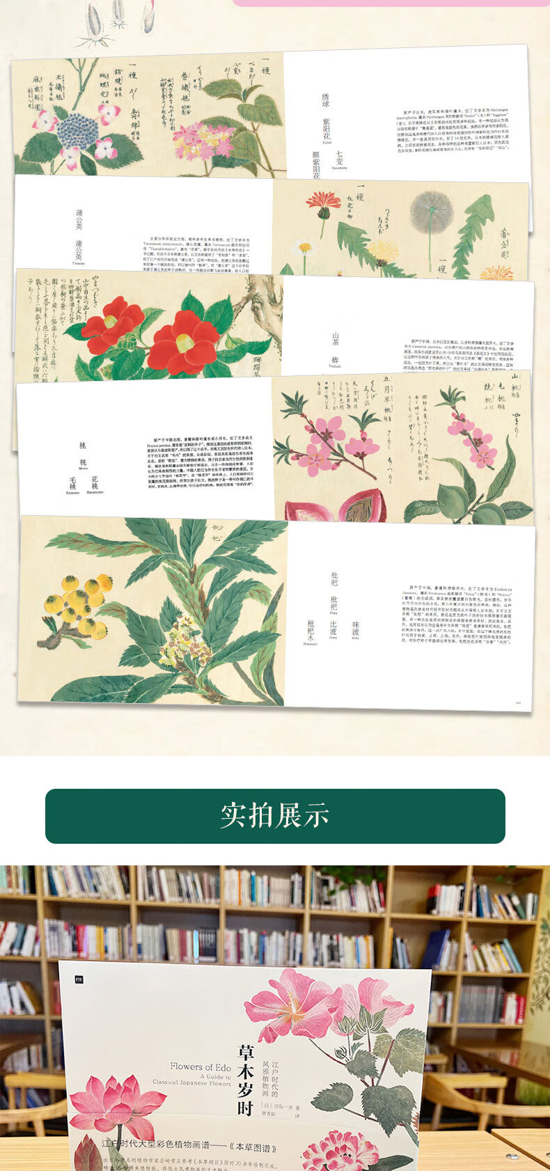 详情_004.jpg