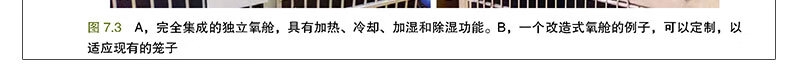 详情-11.jpg
