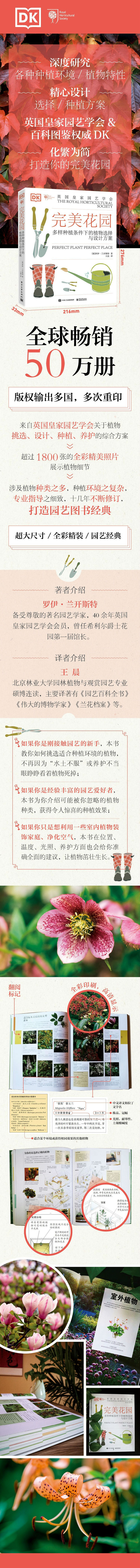 详情-01.jpg