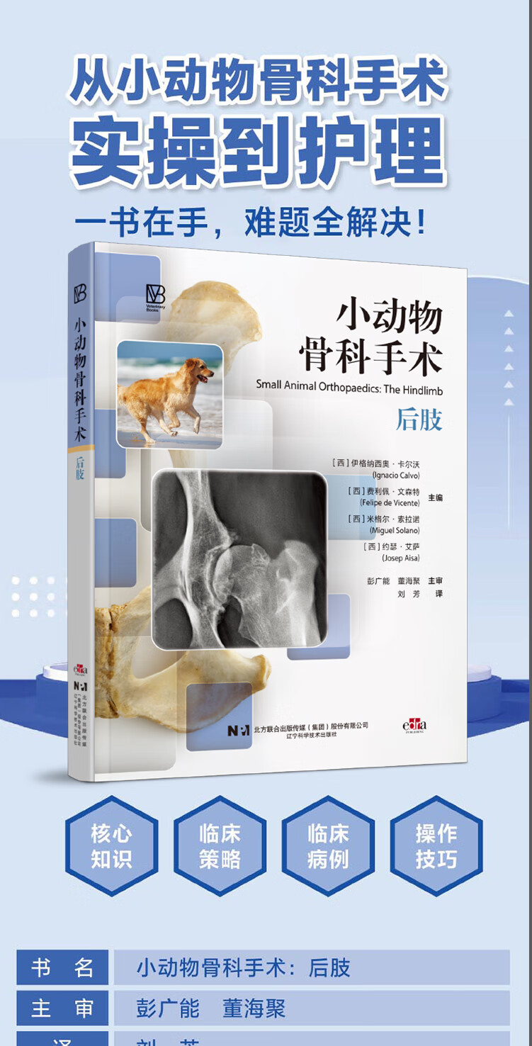 详情-01.jpg